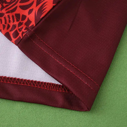 2526 season FC Porto Concept