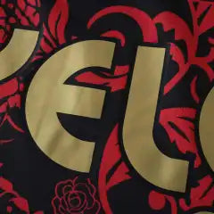 2526 season Sheffield United F.C. Concept