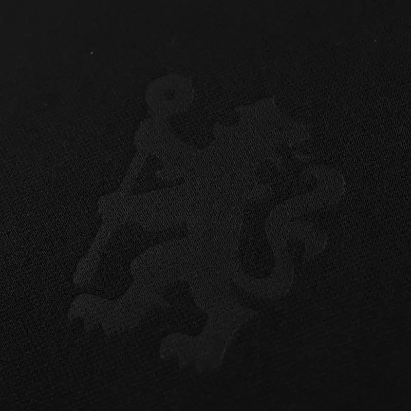 2425 season Chelsea F.C. Concept