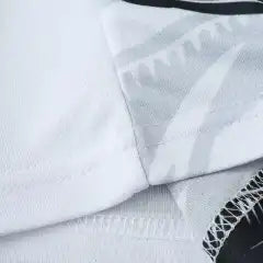 2425 season Japan Concept