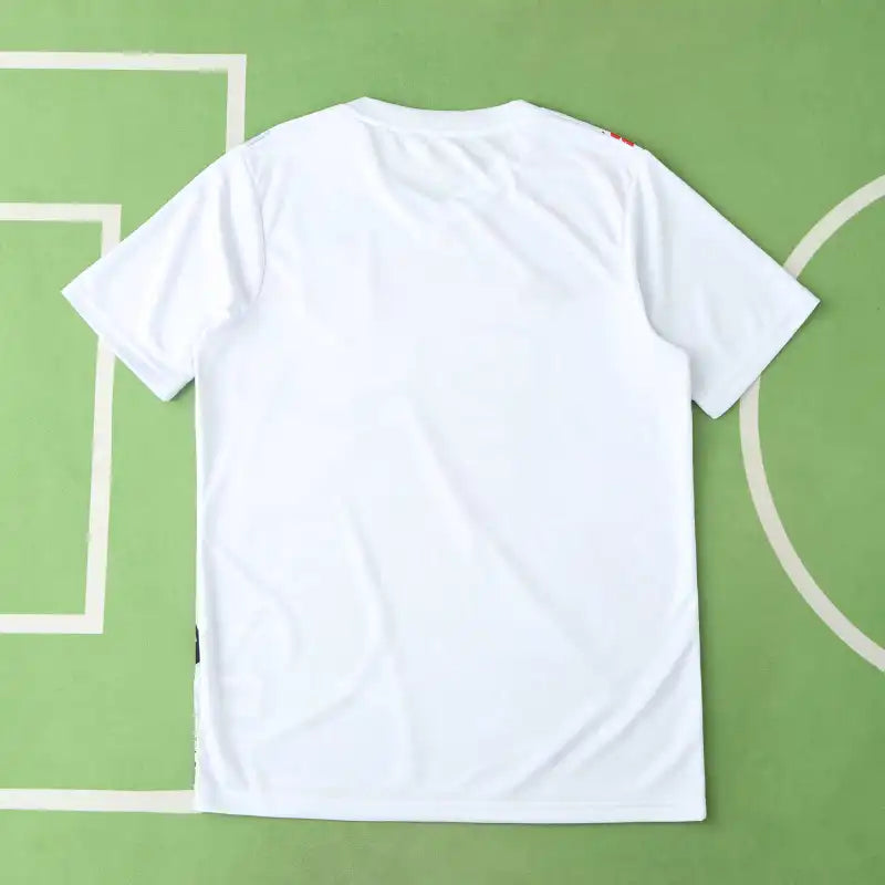 2425 season Japan Concept