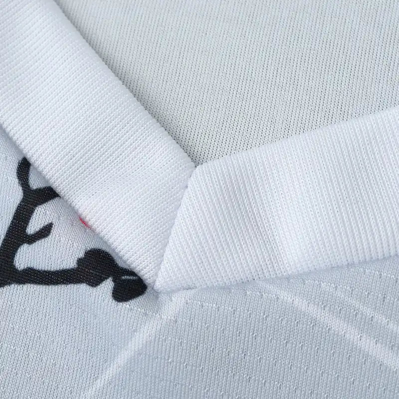 2425 season Japan Concept