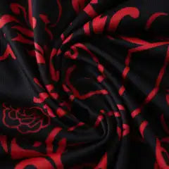 2526 season Sheffield United F.C. Concept